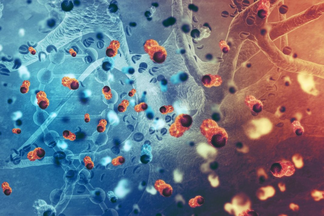 A varíola é a base da nova cura contra o câncer. Esse vírus eliminaria todos os tumores
