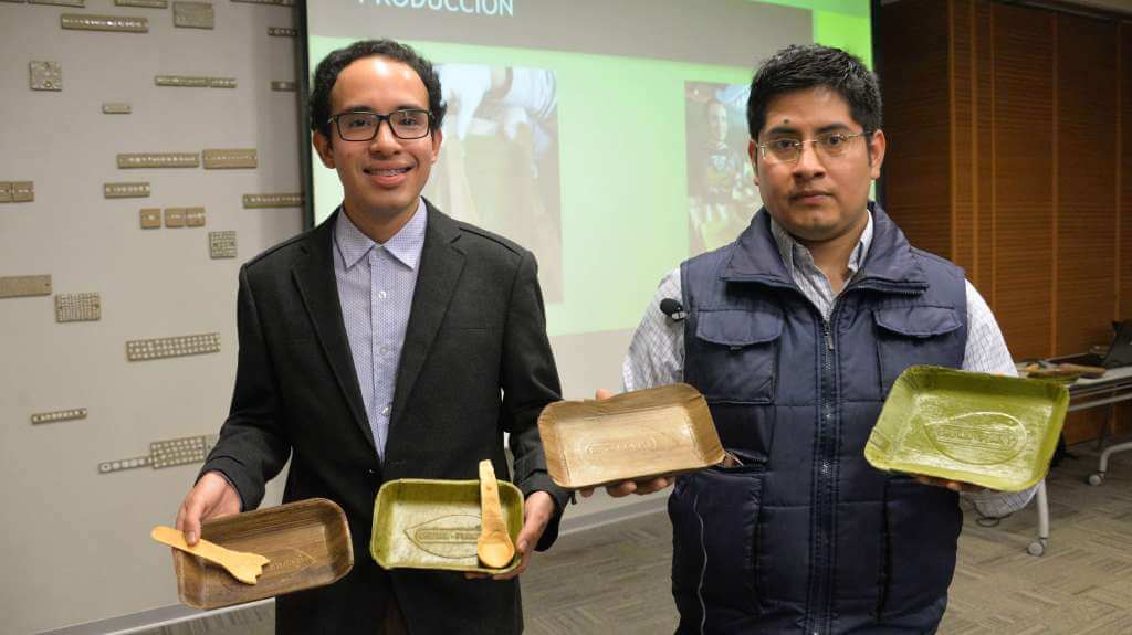 sabervivermais.com - Grupo peruano lança placas compostáveis ​​feitas de folhas de bananeira