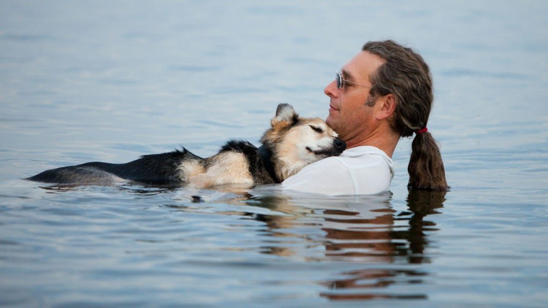 Homem flutua com cão idoso de 19 anos de idade, todos os dias para aliviar suas dores