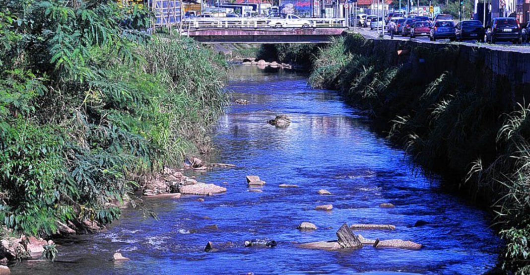 Após 30 anos, rio em Jundiaí é despoluído e volta a ter peixes