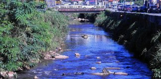 Após 30 anos, rio em Jundiaí é despoluído e volta a ter peixes
