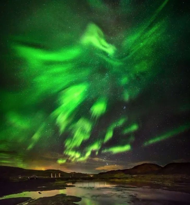 sabervivermais.com - O fotógrafo capturou uma majestosa "fênix" na aurora boreal.