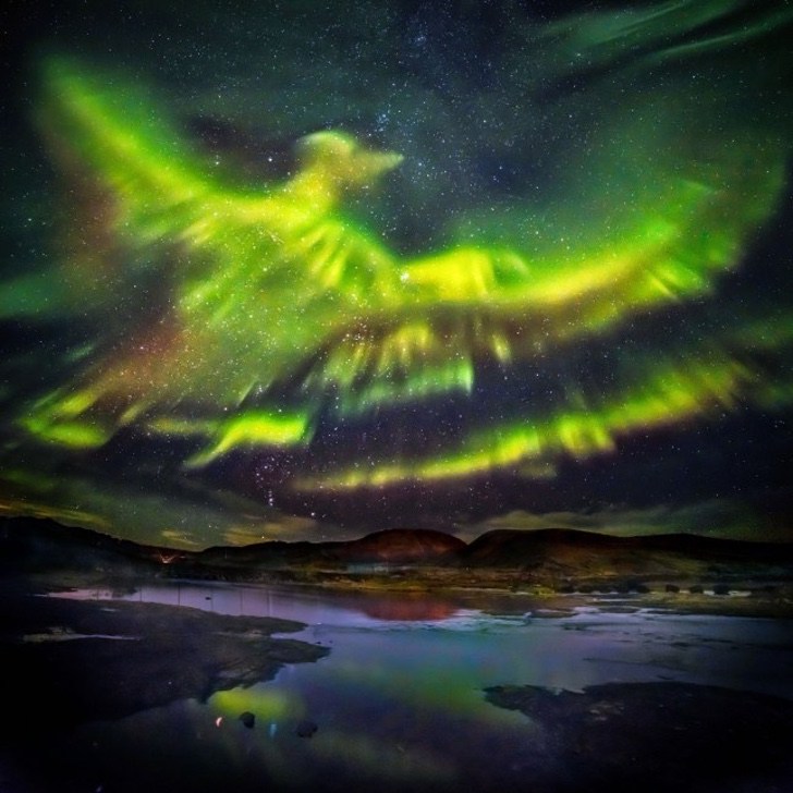 sabervivermais.com - O fotógrafo capturou uma majestosa "fênix" na aurora boreal.