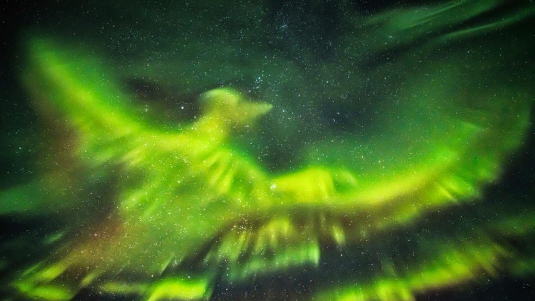 O fotógrafo capturou uma majestosa “fênix” na aurora boreal.
