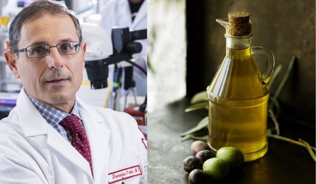 Segundo estudo, azeite de oliva extra virgem evita demência