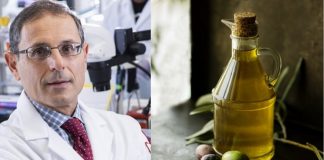 Segundo estudo, azeite de oliva extra virgem evita demência