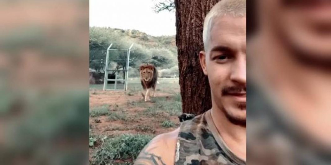 Video de um homem fazendo selfie enquanto leão prepara o ataque viraliza na web