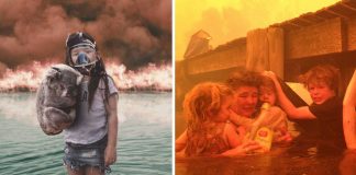 Fake news, imagens enganosas do incêndio florestal na Austrália, divulgadas nas mídias sociais de forma vergonhosa