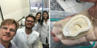 Pesquisadores brasileiros criam membrana capaz de desenvolver ossos e pele