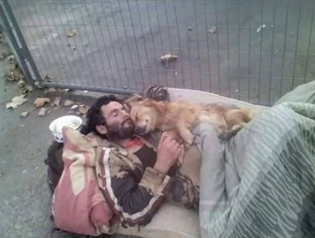 Morador de rua dorme abraçado com o seu cão que nunca o abandona
