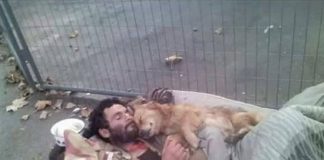 Morador de rua dorme abraçado com o seu cão que nunca o abandona