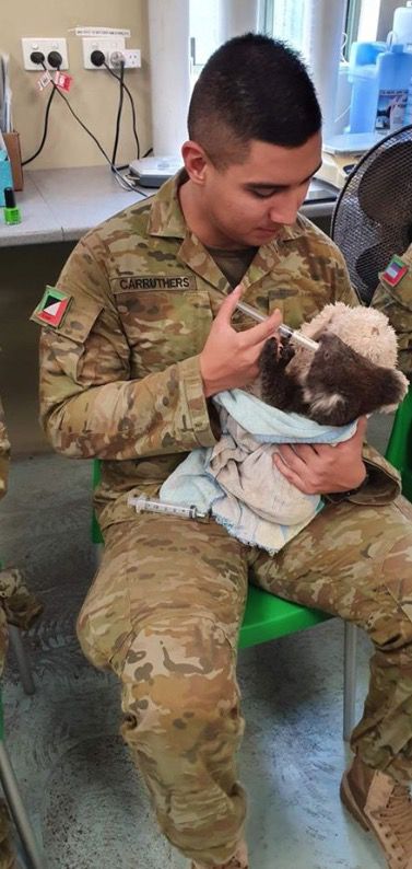 sabervivermais.com - Soldados australianos usam seu tempo de descanso para alimentar coalas salvos do incêndio