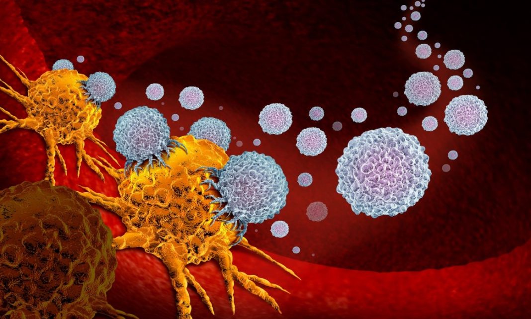Cientistas encontraram um método para tratar 10 tipos de câncer sem danificar as células saudáveis.