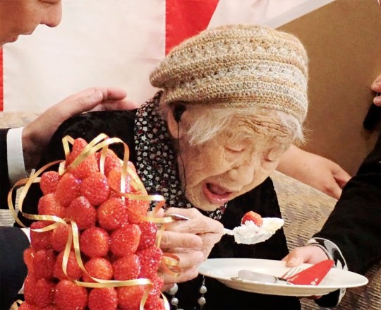 sabervivermais.com - A pessoa mais velha do mundo comemora 117 anos