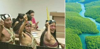 Tribo da Amazônia vence processo contra empresa petrolífera, salvando meio milhão de acres da floresta tropical