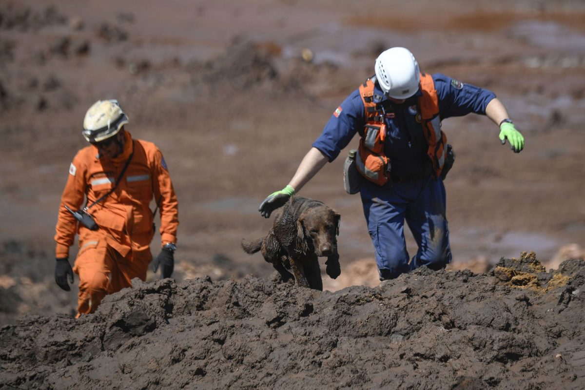 sabervivermais.com - A tragédia de Brumadinho completa um ano de buscas sem prazo para acabar: "Nós vamos continuar até encontrar as 11 joias"