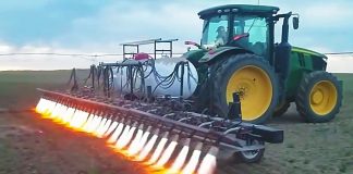 O lança-chamas na agricultura são a nova técnica que evita pesticidas
