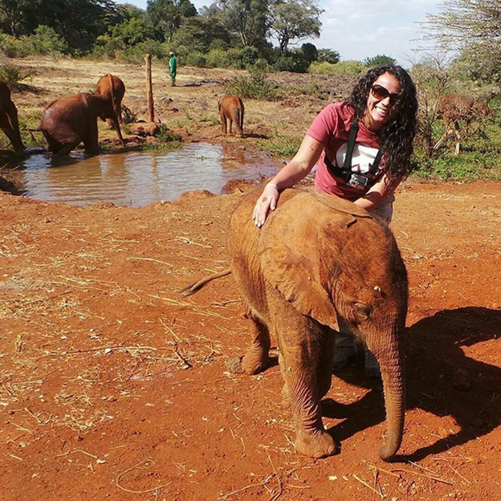 sabervivermais.com - Filhotinho de elefante orfão aconchega-se diariamente em avestruz. Ele ganhou mais que um amigo!