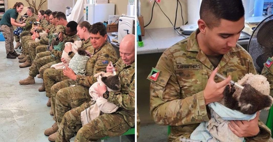 Soldados australianos usam seu tempo de descanso para alimentar coalas salvos do incêndio