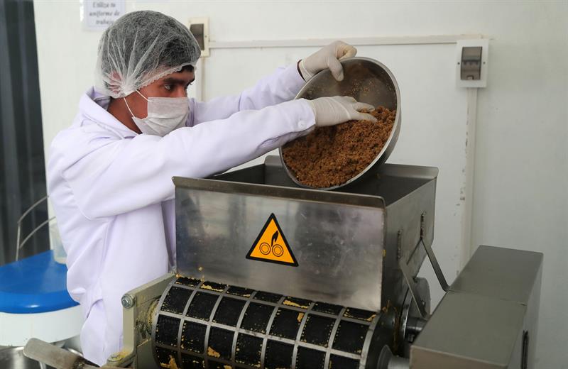 sabervivermais.com - Estudante Peruano cria cookie que elimina anemia em um mês