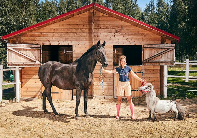 sabervivermais.com - Conheça o pequeno Bombel e se apaixone: ele é o menor cavalo do mundo!