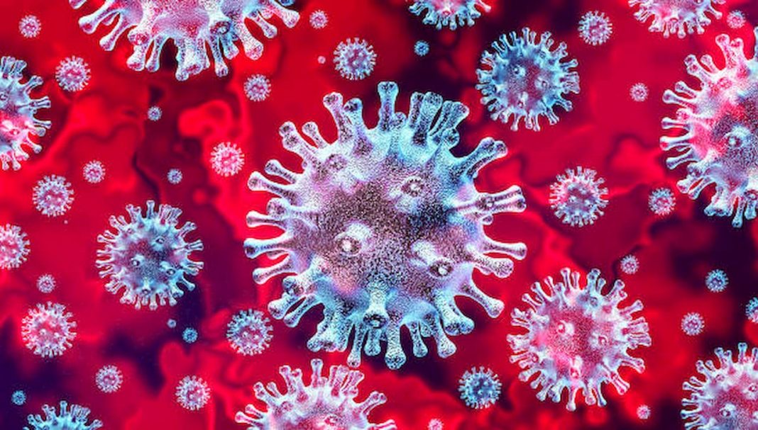 Nos EUA, pesquisadores testararão vacina contra o coronavírus