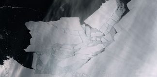 Iceberg com o tamanho da cidade de Belo Horizonte se desprende da Antártica