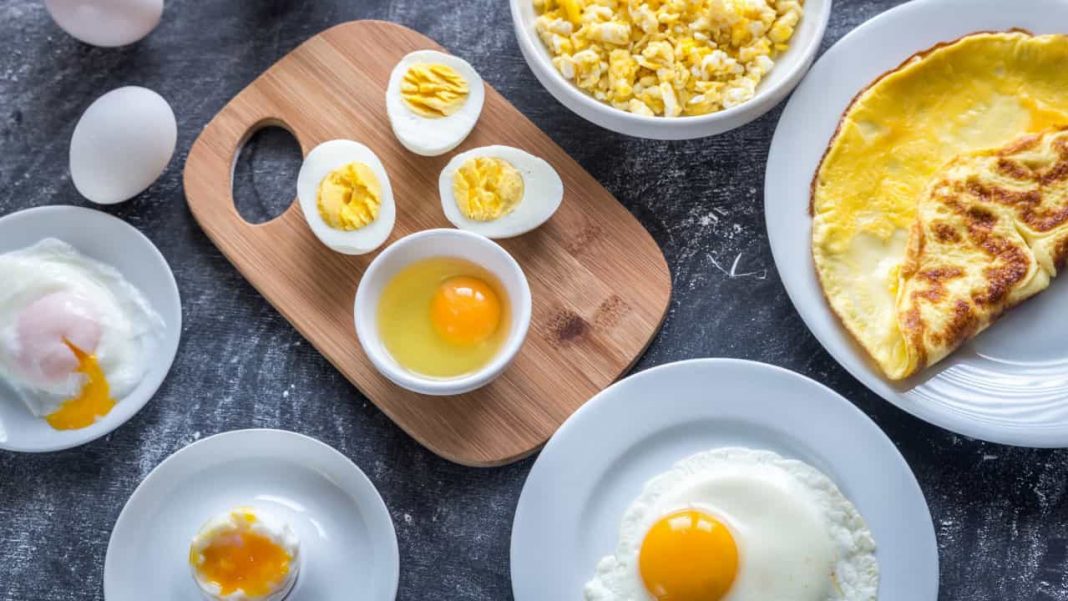 Comer um ovo diariamente ajuda no ganho de massa muscular e perda gordura