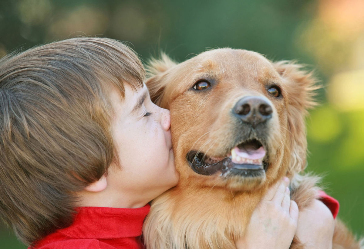 sabervivermais.com - Os cães sentem emoções comparáveis ​​as de uma criança