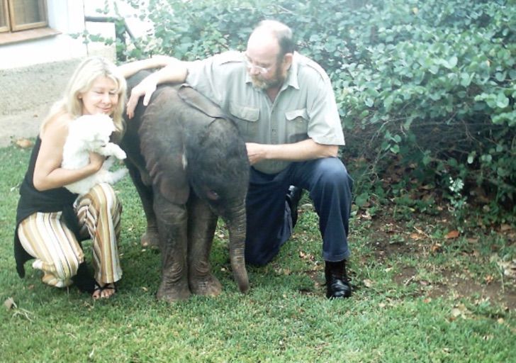 sabervivermais.com - Elefantes viajaram 12 horas para homenagear homem que cuidou deles por anos. Eles nunca esquecerão
