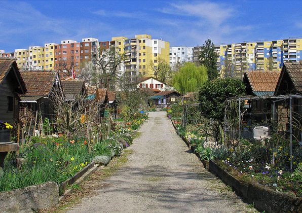 sabervivermais.com - Uma cidade onde as pessoas plantam sua própria comida