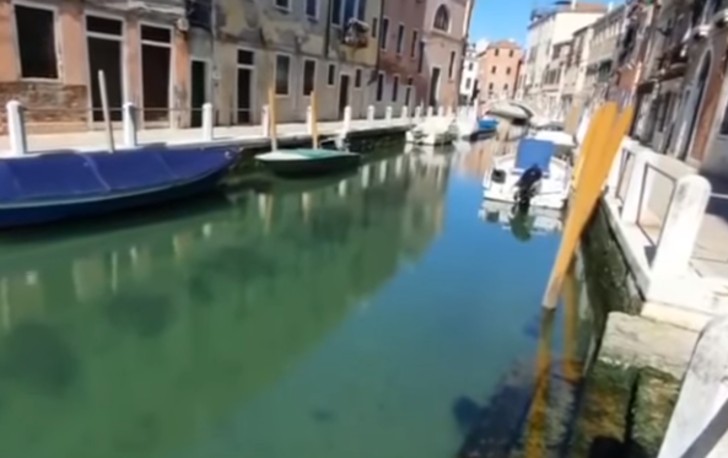 sabervivermais.com - Os canais de Veneza voltam a ficar transparentes pela falta de turistas devido ao coronavírus