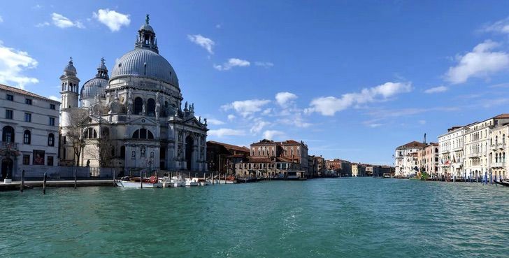 sabervivermais.com - Os canais de Veneza voltam a ficar transparentes pela falta de turistas devido ao coronavírus