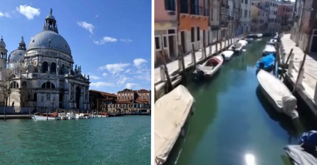 Os canais de Veneza voltam a ficar transparentes pela falta de turistas devido ao coronavírus