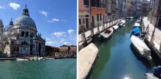 Os canais de Veneza voltam a ficar transparentes pela falta de turistas devido ao coronavírus