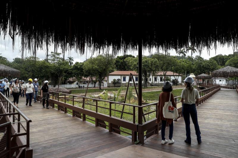 sabervivermais.com - Zoológico do Rio de Janeiro se torna um bioparque e libera seus animais