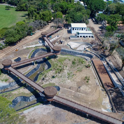 sabervivermais.com - Zoológico do Rio de Janeiro se torna um bioparque e libera seus animais