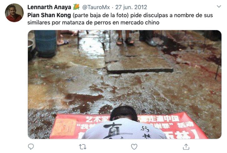 sabervivermais.com - Ativista chinês faz protesto em matadouros de cães e exige fechamento. Força da conscientização!