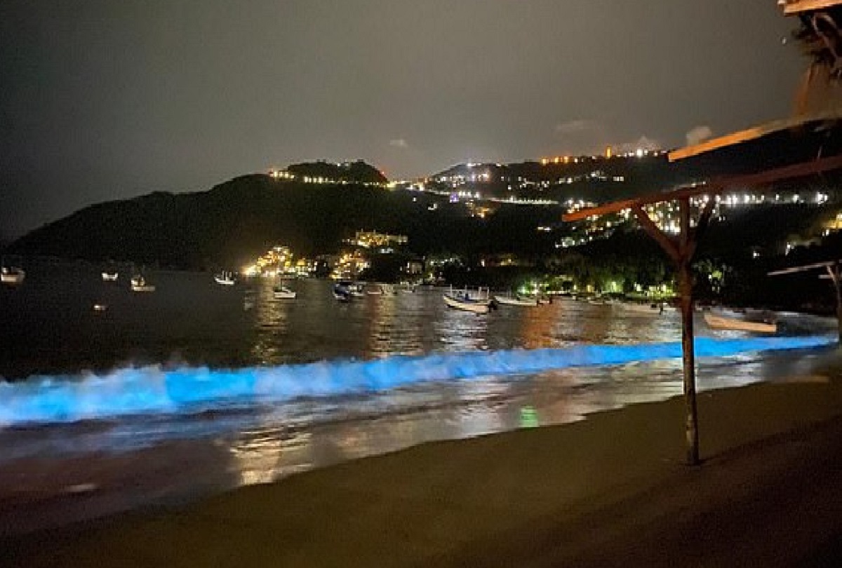 sabervivermais.com - Após 60 anos, praia de Acapulco volta a brilhar com fenômeno natural raríssimo!