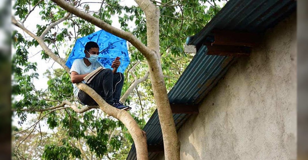 Estudante que não tinha internet em casa, sobe em árvore para captar o sinal e assistir as aulas on-line