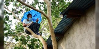 Estudante que não tinha internet em casa, sobe em árvore para captar o sinal e assistir as aulas on-line