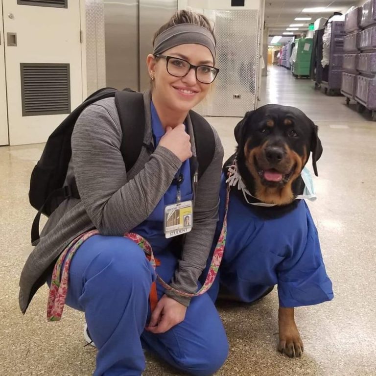 sabervivermais.com - "Dogtor Loki", um cãoterapia que entrega pacotes de cuidados à trabalhadores de hospitais.