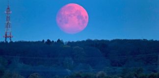 Uma super lua rosa ocorrerá dia 7 de abril