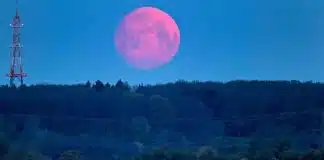 Uma super lua rosa ocorrerá dia 7 de abril