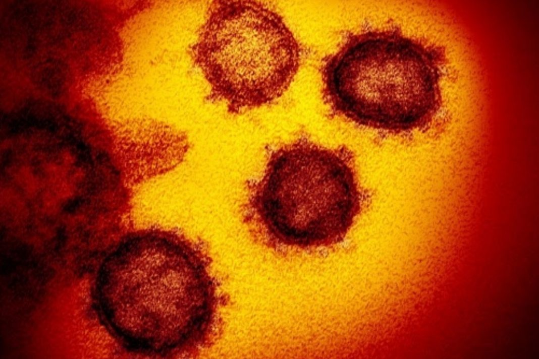 “Anticorpos eficientes”: Cientistas chineses anuciaram a descoberta para o tratamento e prevenção do coronavírus