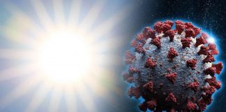 Luz solar é capaz de destruir o Covid-19 rapidamente – Willian Bryan