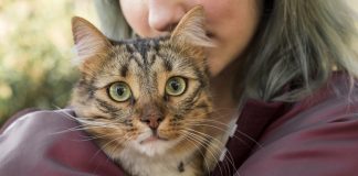 Médica espanhola acredita que donos(a) de gatos tem mais tolerância a Covid-19