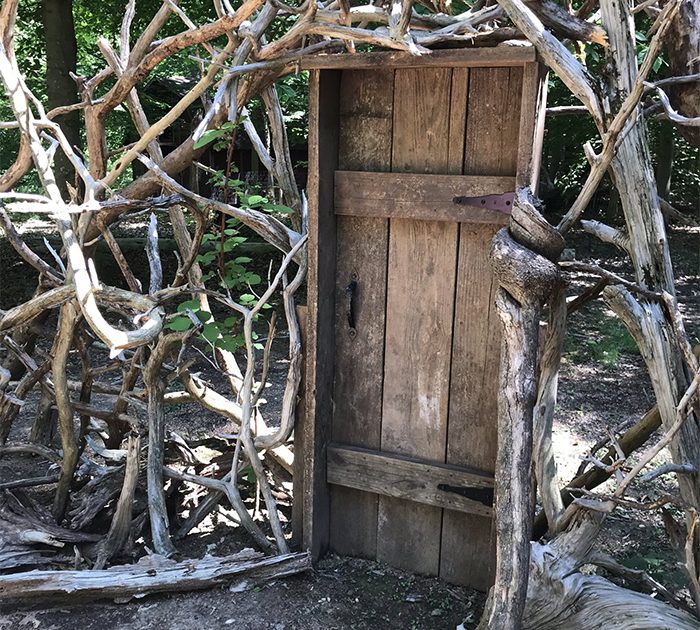 sabervivermais.com - Companheiros há 30 anos, constroem uma "porta para a imaginação" em seu quintal durante a quarentena