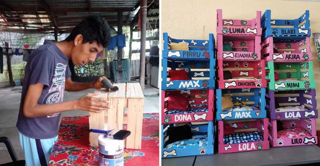 O jovem mexicano com deficiência cria casas de animais para ajudar em casa. E bomba na net!