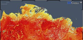 Cientistas fazem um alerta: O Ártico está pegando fogo